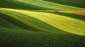 Accesso ai Fondi