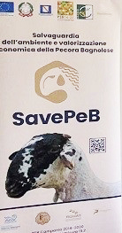 Savepeb