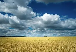 La Nostra Identità