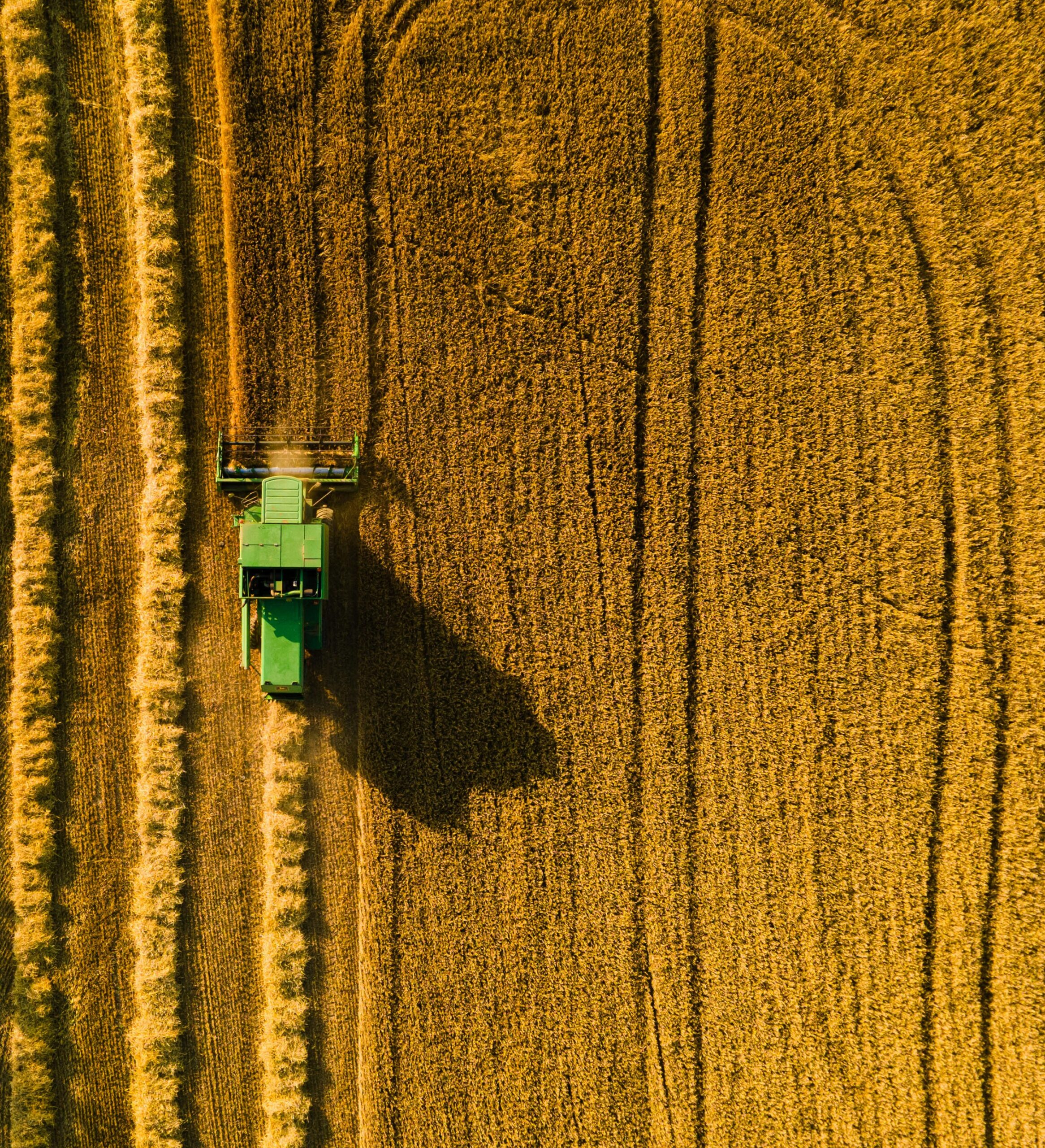 Innovazione e nuove imprese nel settore agricolo