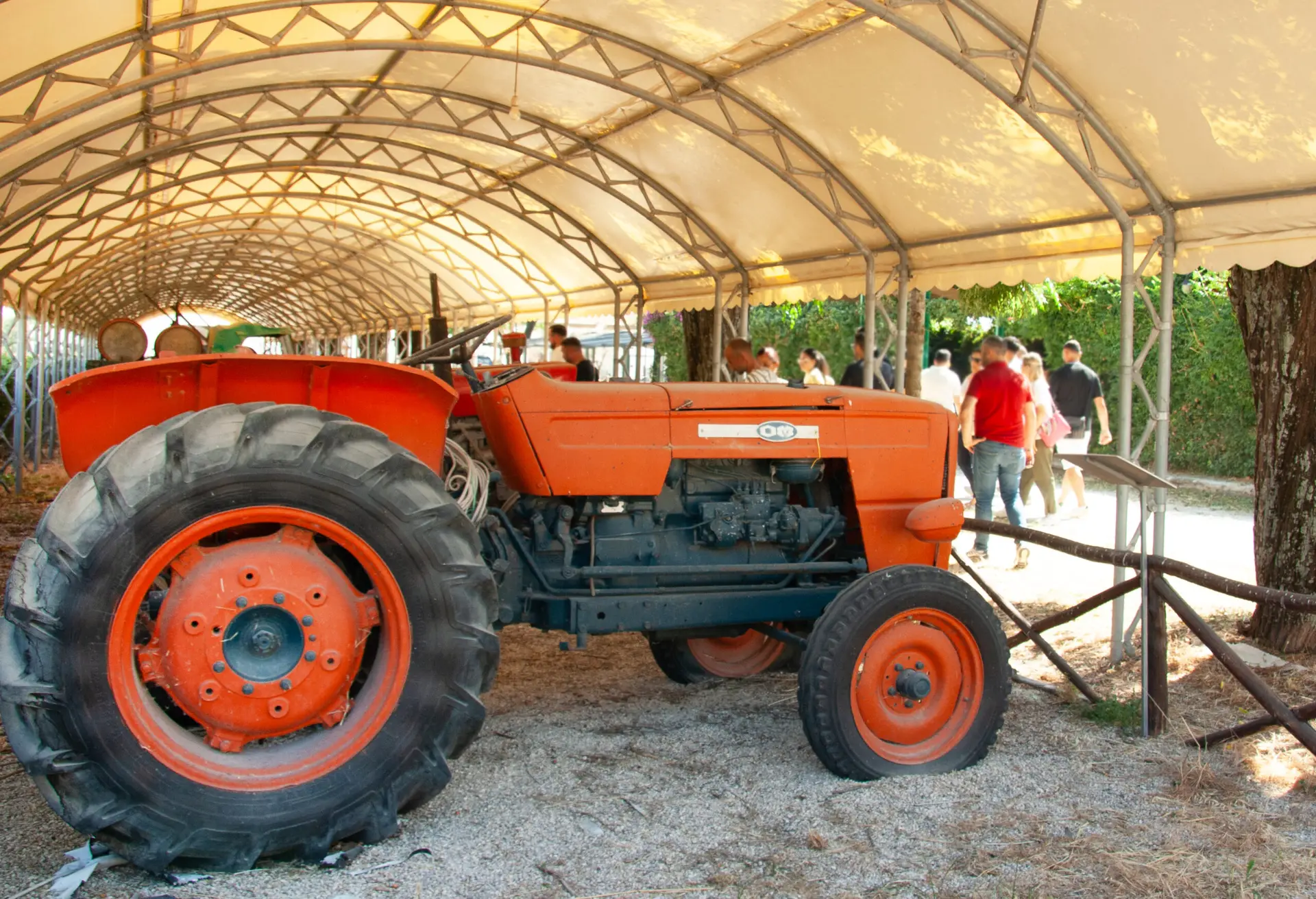 Attività di formazione e trasferimento dell'innovazione in agricoltura