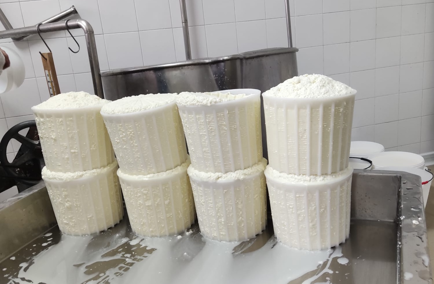Formaggio lavorato e collocato nelle fuscelle all'interno del caseificio