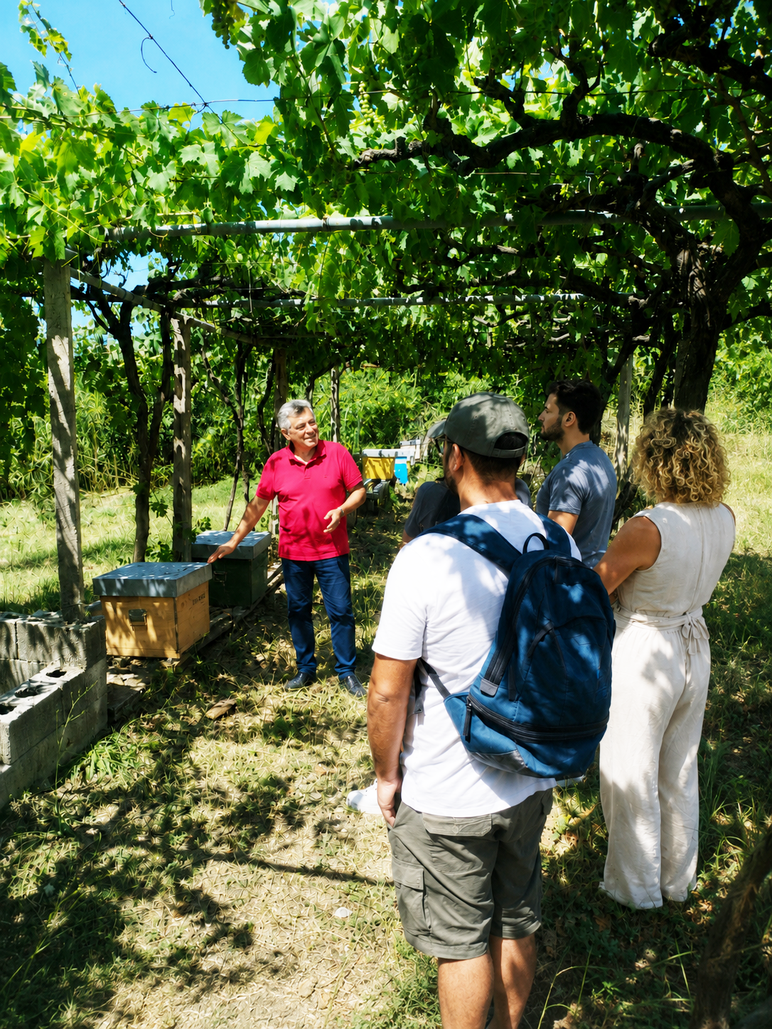 Consulenza tecnica per percorsi di sviluppo e sviluppo delle imprese agricole
